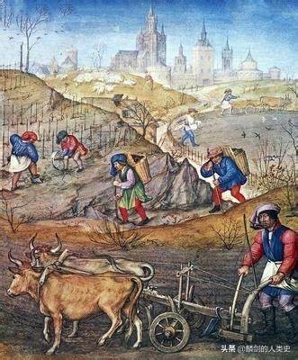 世界农业历史,西方中世纪农业发展