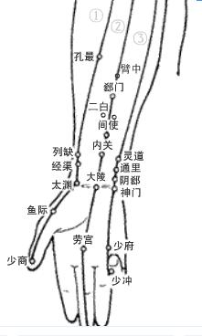 腧穴分为几大类,腧穴的分类和区别