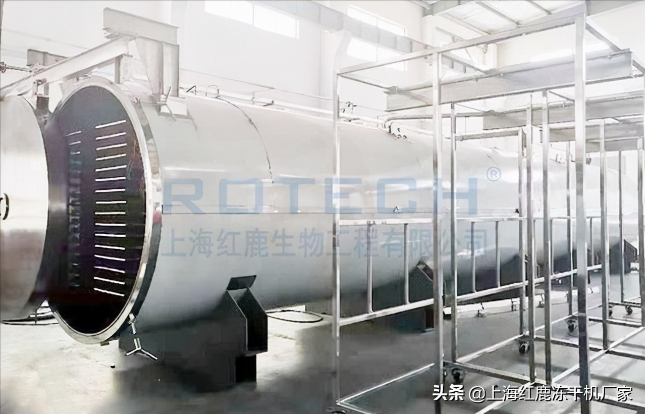 冻干榴莲加工,冻榴莲加工工艺流程