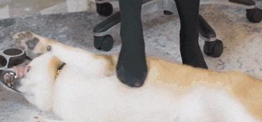 让健康和孝心陪伴妈妈每一天，督洋按摩椅线下选购实录