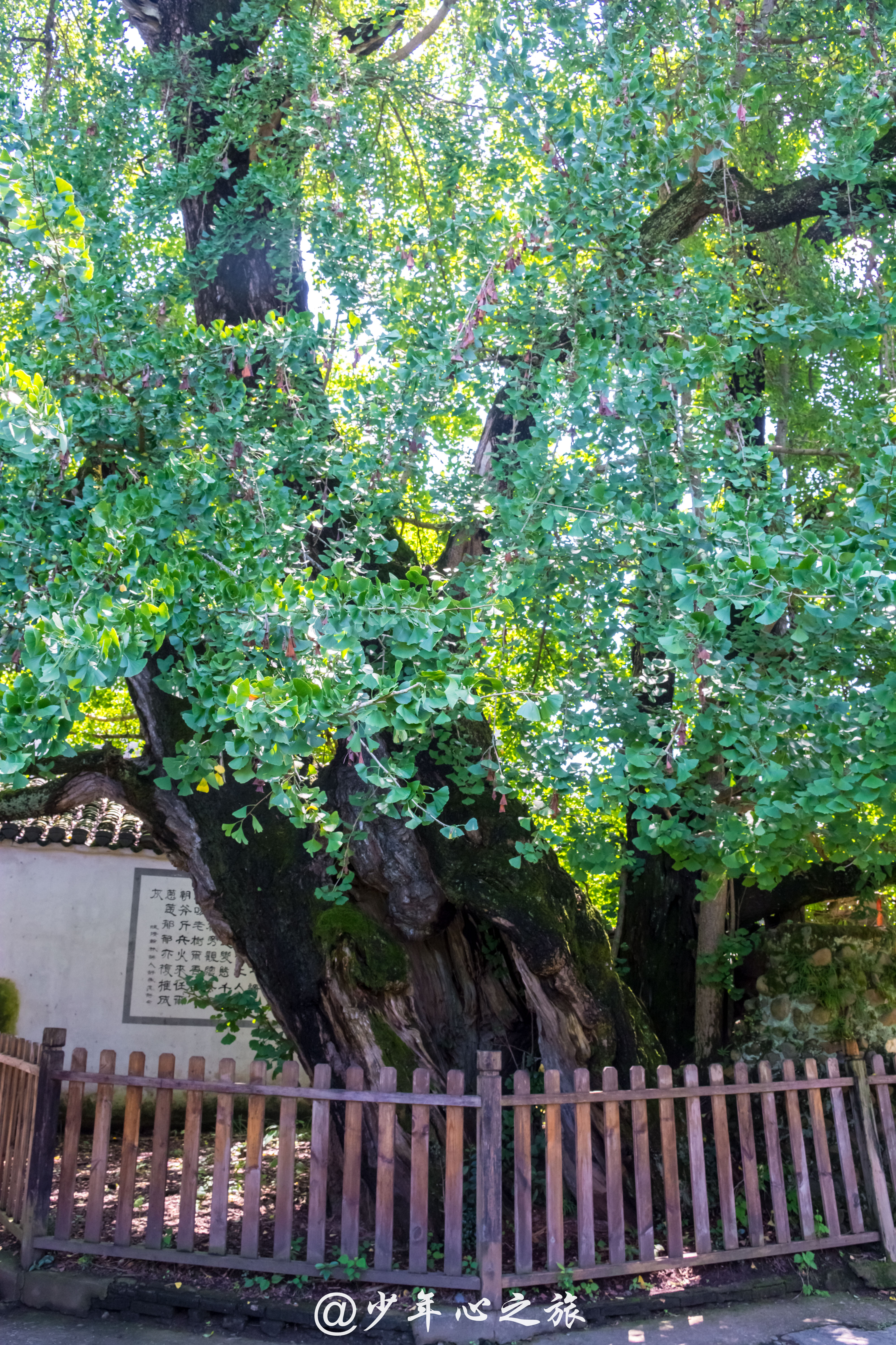 千年古村落唐模村,千年古村唐模