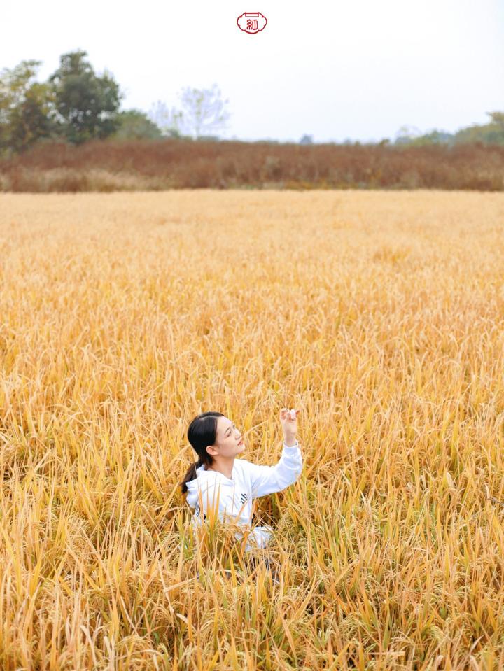 武汉温馨的旅游景点,武汉宝藏旅游胜地免费景点