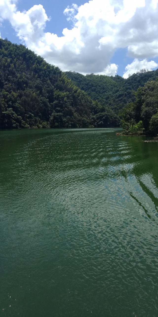 九州文学南京诗社作品,九州文学社作品