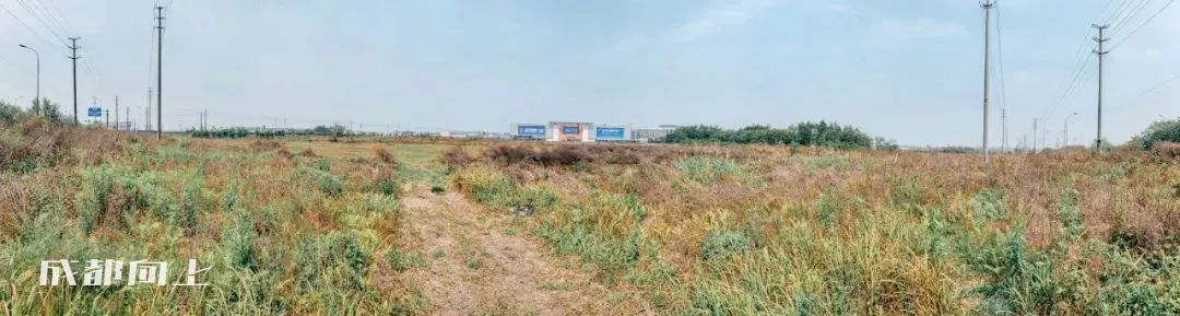 新繁今日现状,新繁最近事件