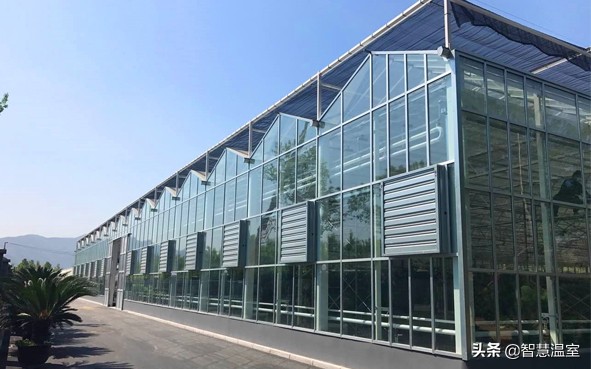 专业的玻璃温室大棚建造,温室大棚生产及设计