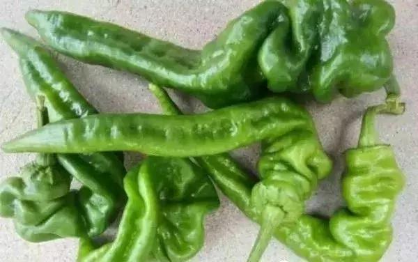 全世界辣椒排行榜前十,世界上十大辣椒排行榜