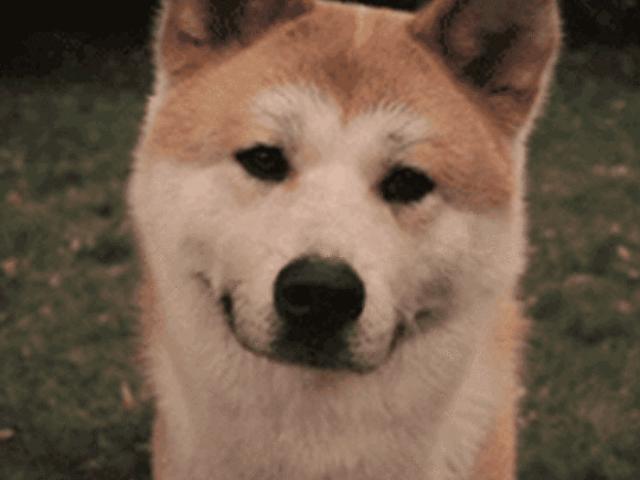 为什么面膜100元可以有30片,为什么女人要用面膜呢