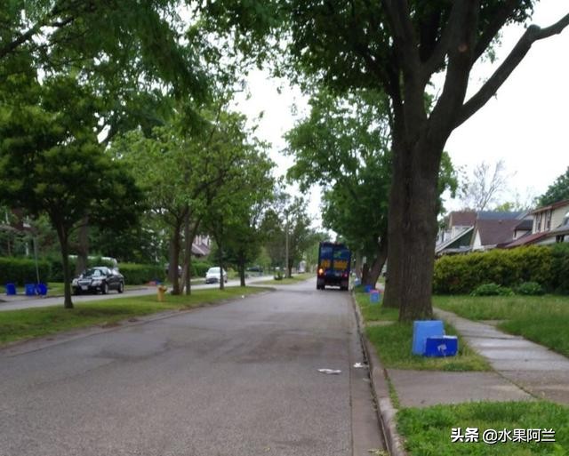 国际出行攻略,新西兰旅游攻略租车