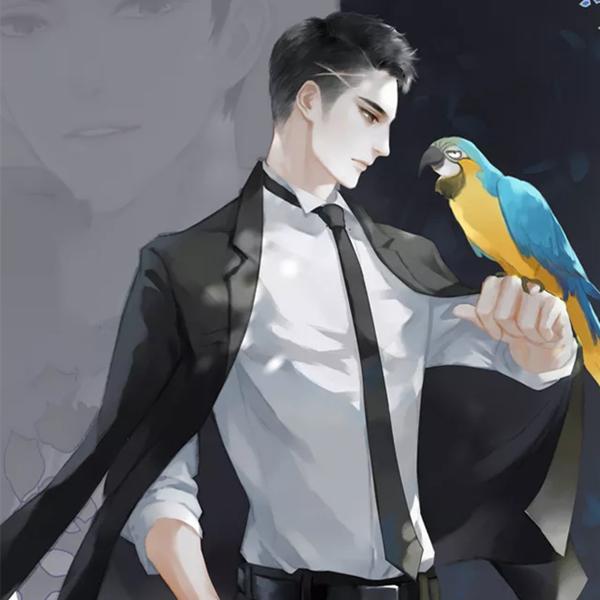 黑道宠文双强,黑道宠文男强女强