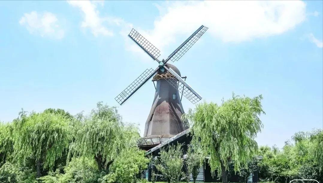 上海免费的旅游攻略,上海最实惠的免费旅游攻略