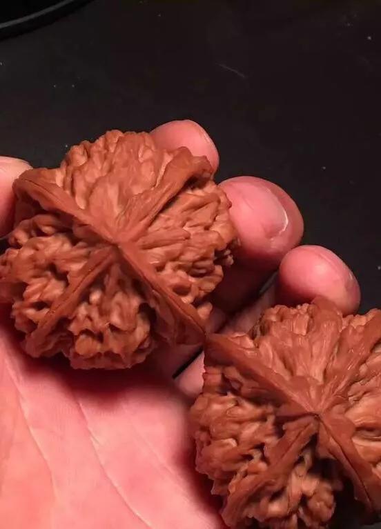 文玩核桃阴皮和反油,文玩核桃阴皮和反油怎么办