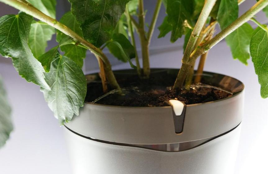 盆栽自做浇水器,户外盆栽自动浇水小妙招