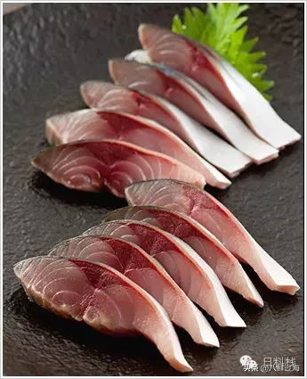 鲭鱼｜虽生犹死的那种境界……