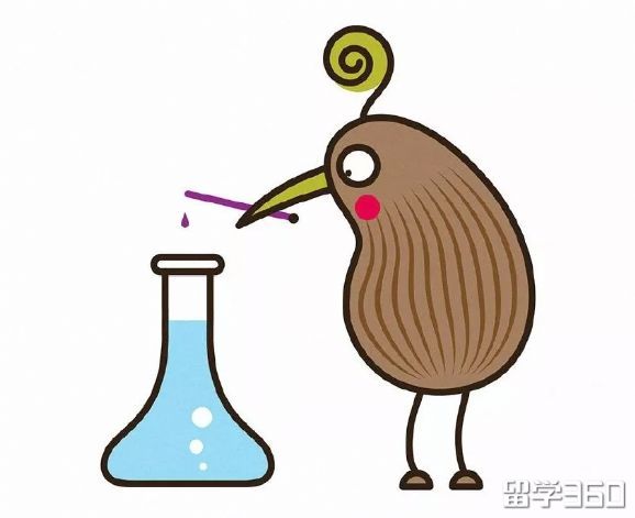 知否知否?高颜值的新西兰还是黑科技好手!