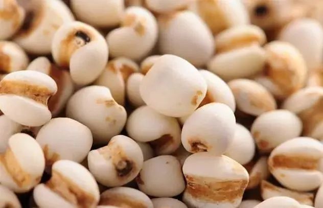 一夜春雨万物醒,一夜春雨滋润万物