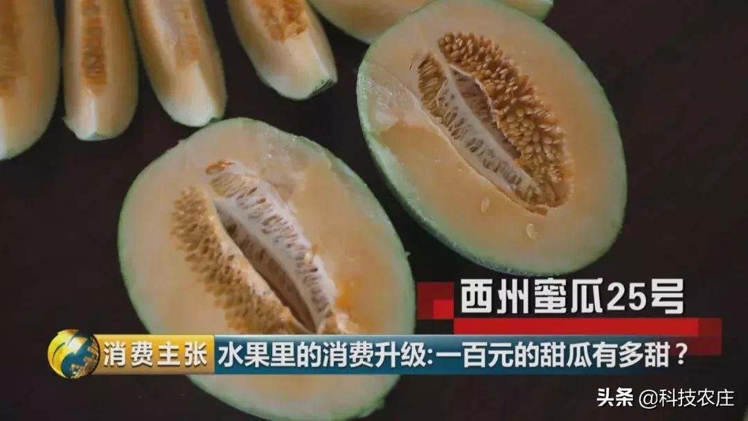 甜瓜最好卖的有哪些品种,菠萝猕猴桃芒果甜瓜什么最贵