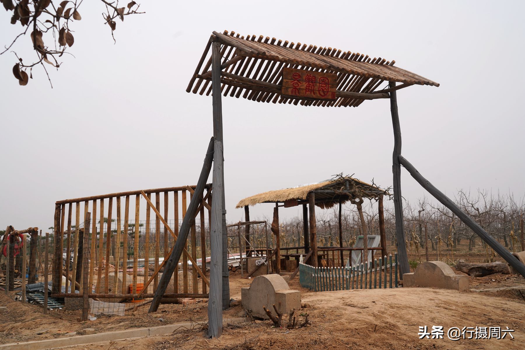 农村小伙创业项目大全视频,山西农村创业项目种植