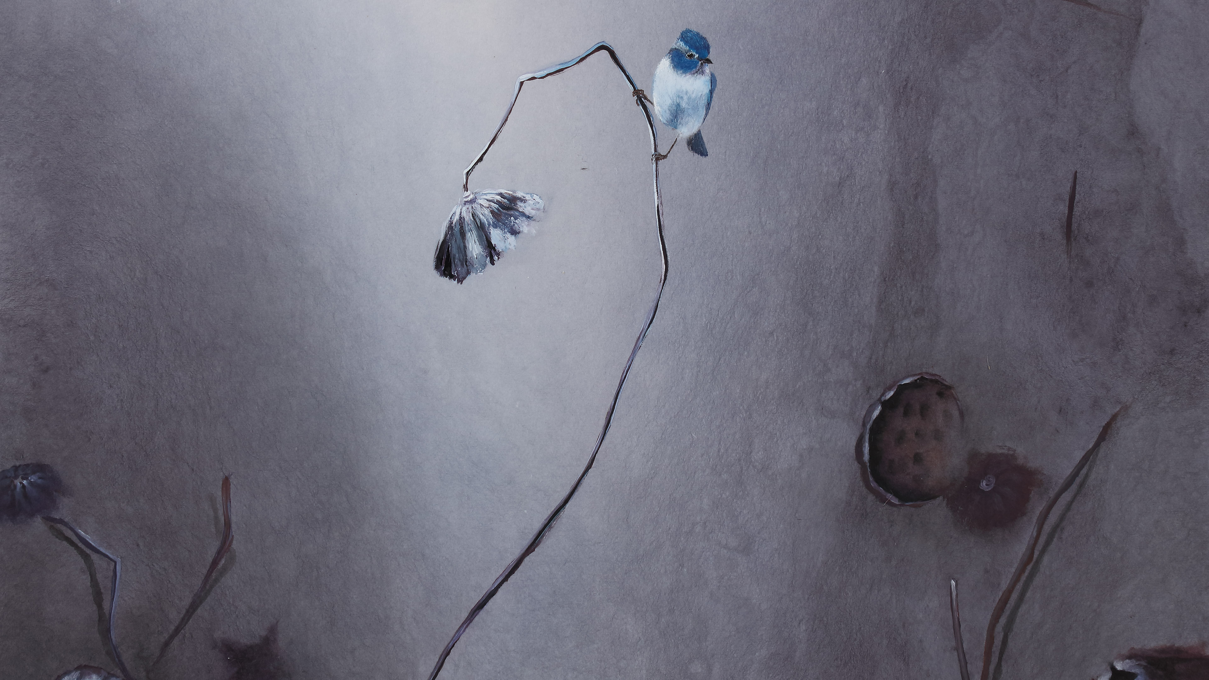 穆萨总有一束光,穆萨事迹