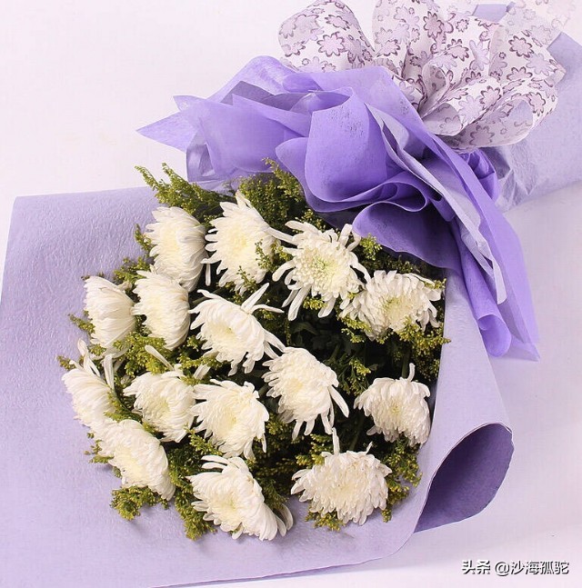 怀念天堂的慈母,怀念天堂慈母