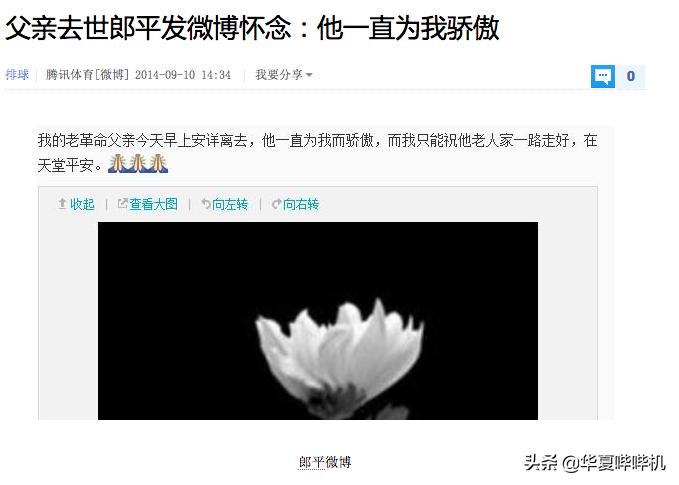 郎平奥运会失利采访,对于郎平的客观评价