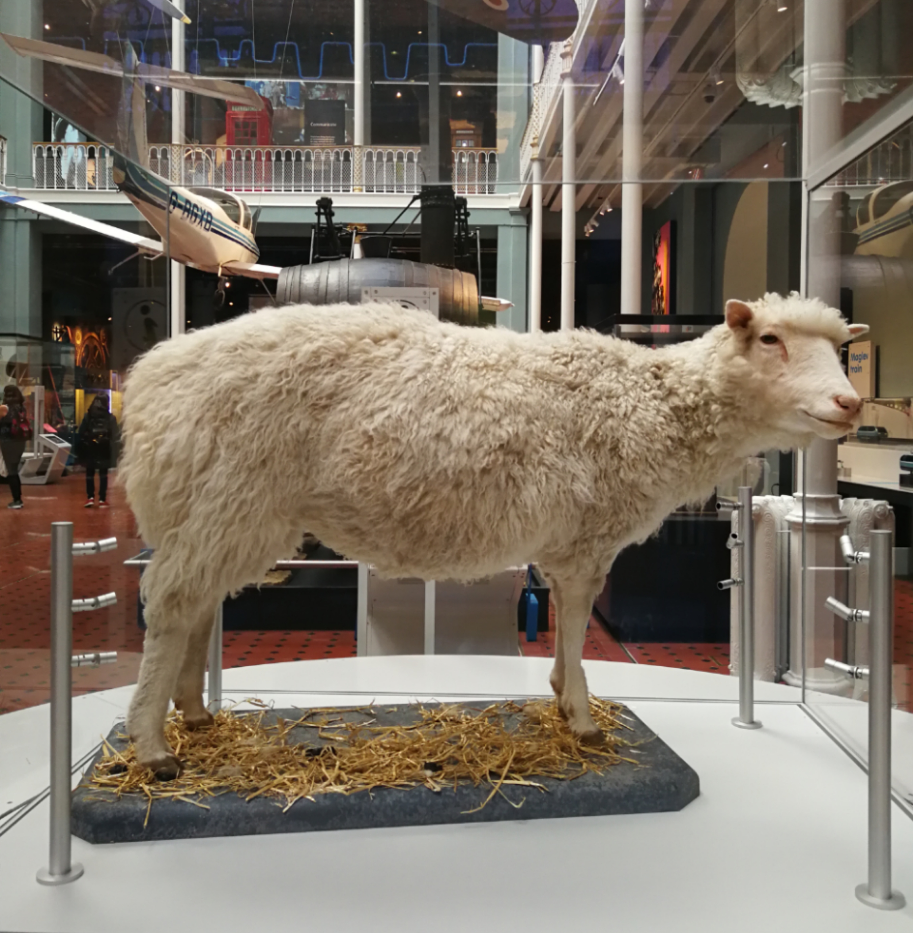 英国爱丁堡旅行记,爱丁堡游记