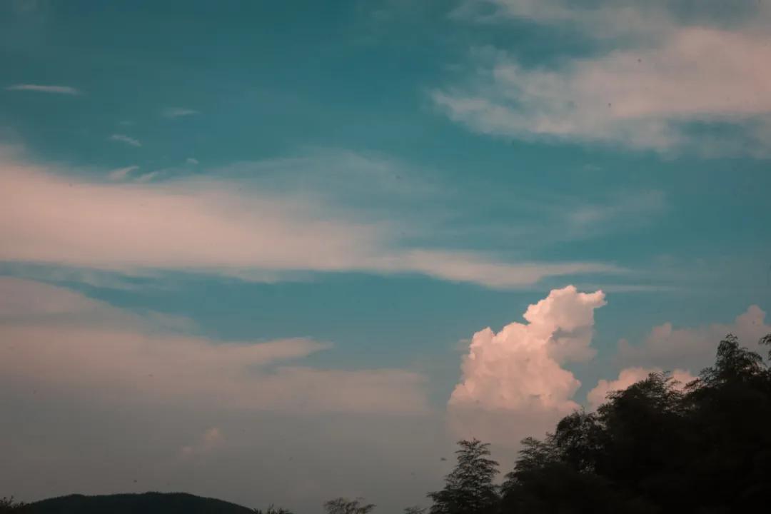 美到让人窒息的配色,众所期待下一句怎么接