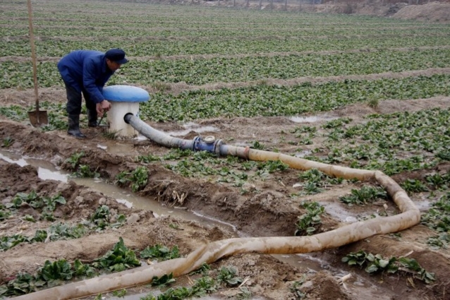 农民土地入股合作社的合作模式,土地种植入股经营合作方案