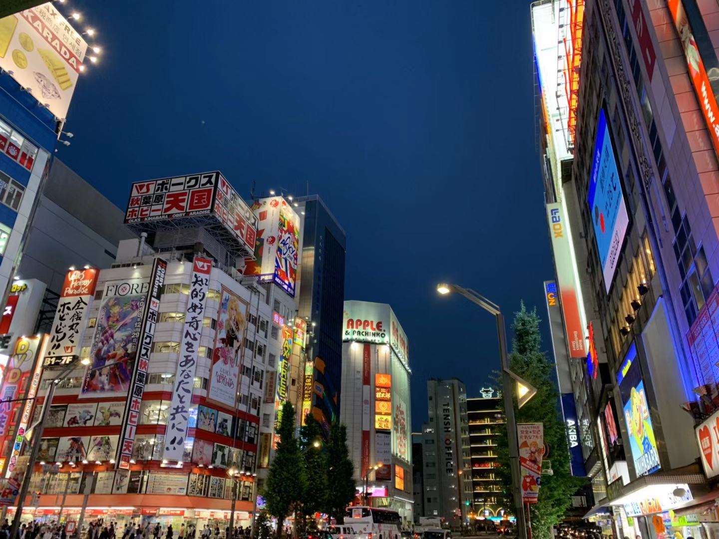 东京游记攻略,东京旅游指南攻略