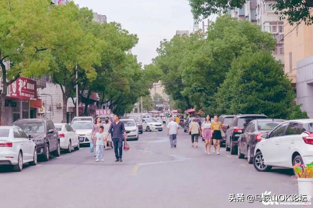 唰，就绿了！马鞍山夏天的n+1种样子