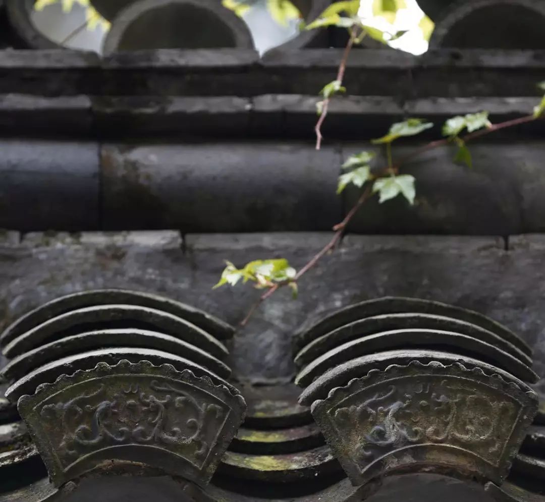 上虞最美的村落,浙江上虞被遗忘的古村