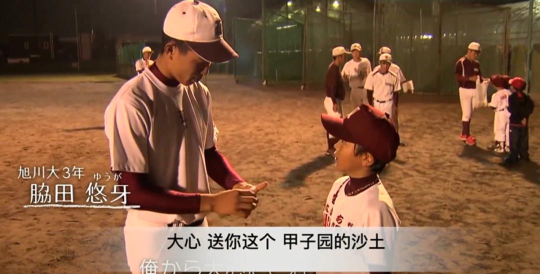 日本夏季甲子园停办,甲子园大哭