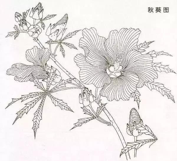 分享几组简单实用的写意花鸟画法,国画教程花鸟基本画法值得珍藏