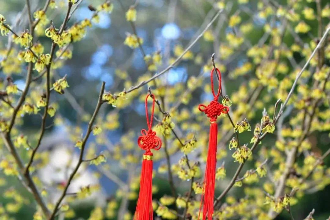 摄影作品精选展,每周摄影作品