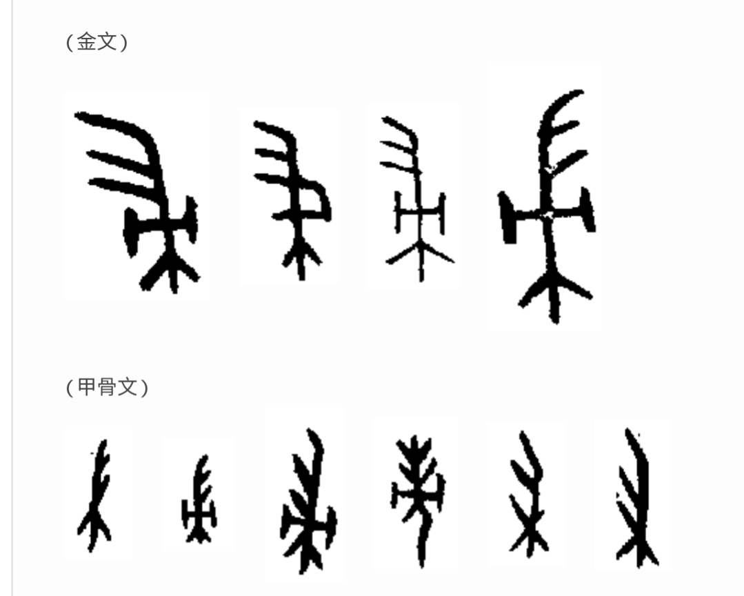 道德经中的阴阳辩证思想,道德经全书第二十九章解析