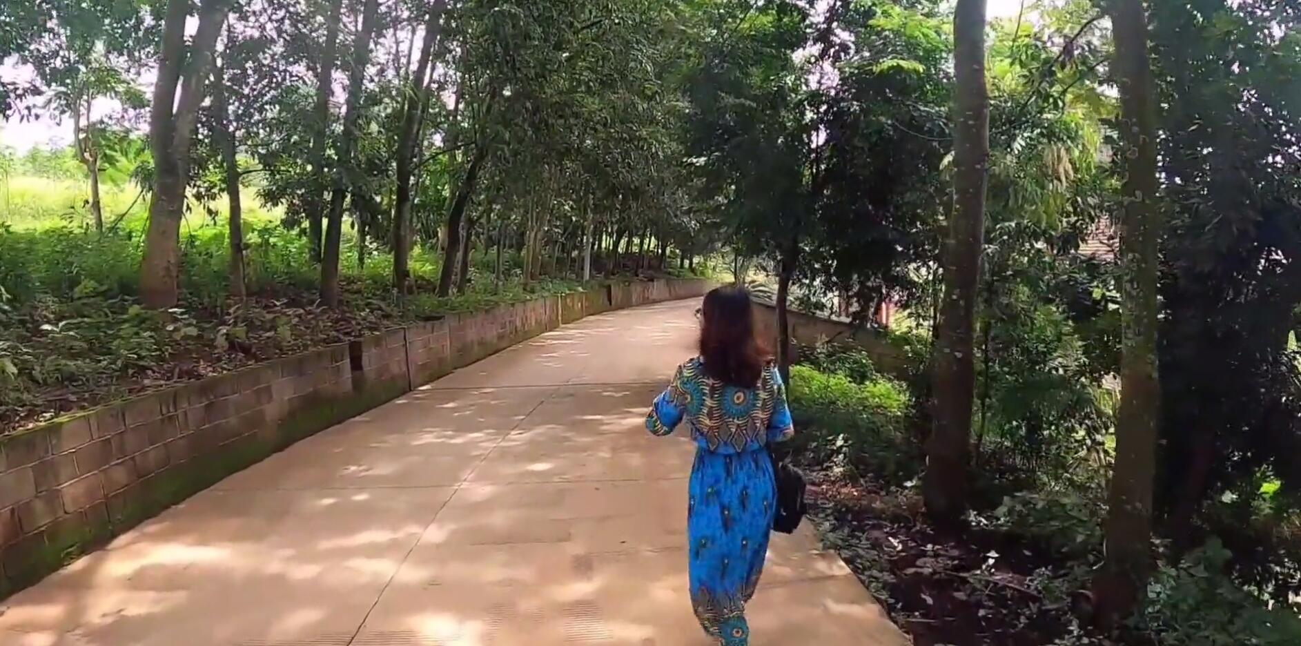 西双版纳热带雨林导游,西双版纳热带雨林谷导游