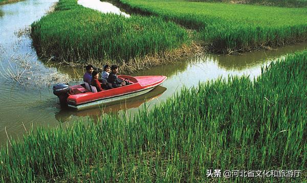 硬朗而柔美的雄安：一座有历史有文化的“未来之城”