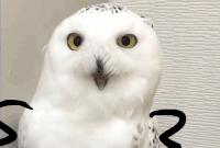 拾金不昧好农民后续,拾金不昧为天下好心人点赞