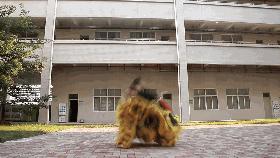 惠州光正实验学校完整版,惠州光正实验学校李梓翔