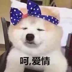 昔日掌中宝，今朝“盘中猪”！昆明女孩：*子骗**！还我80万！