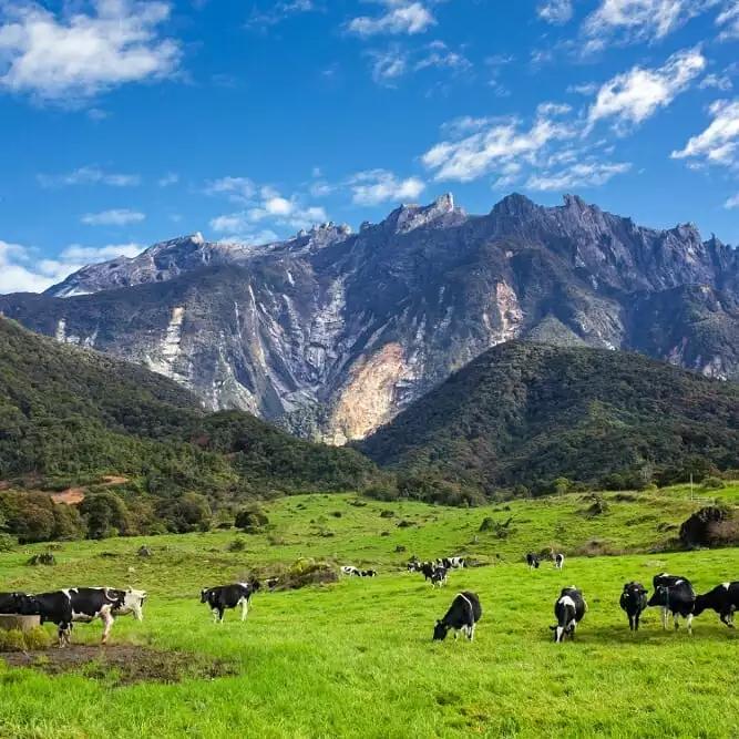 吃19块钱的海鲜自助,深圳133块钱海鲜吃到爽