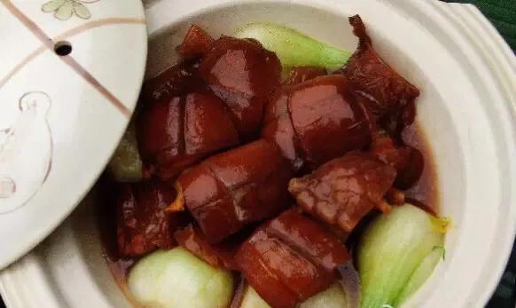 长隆飞鸟乐园拍鸟攻略,广州长隆飞鸟乐园可以摸哪些鸟