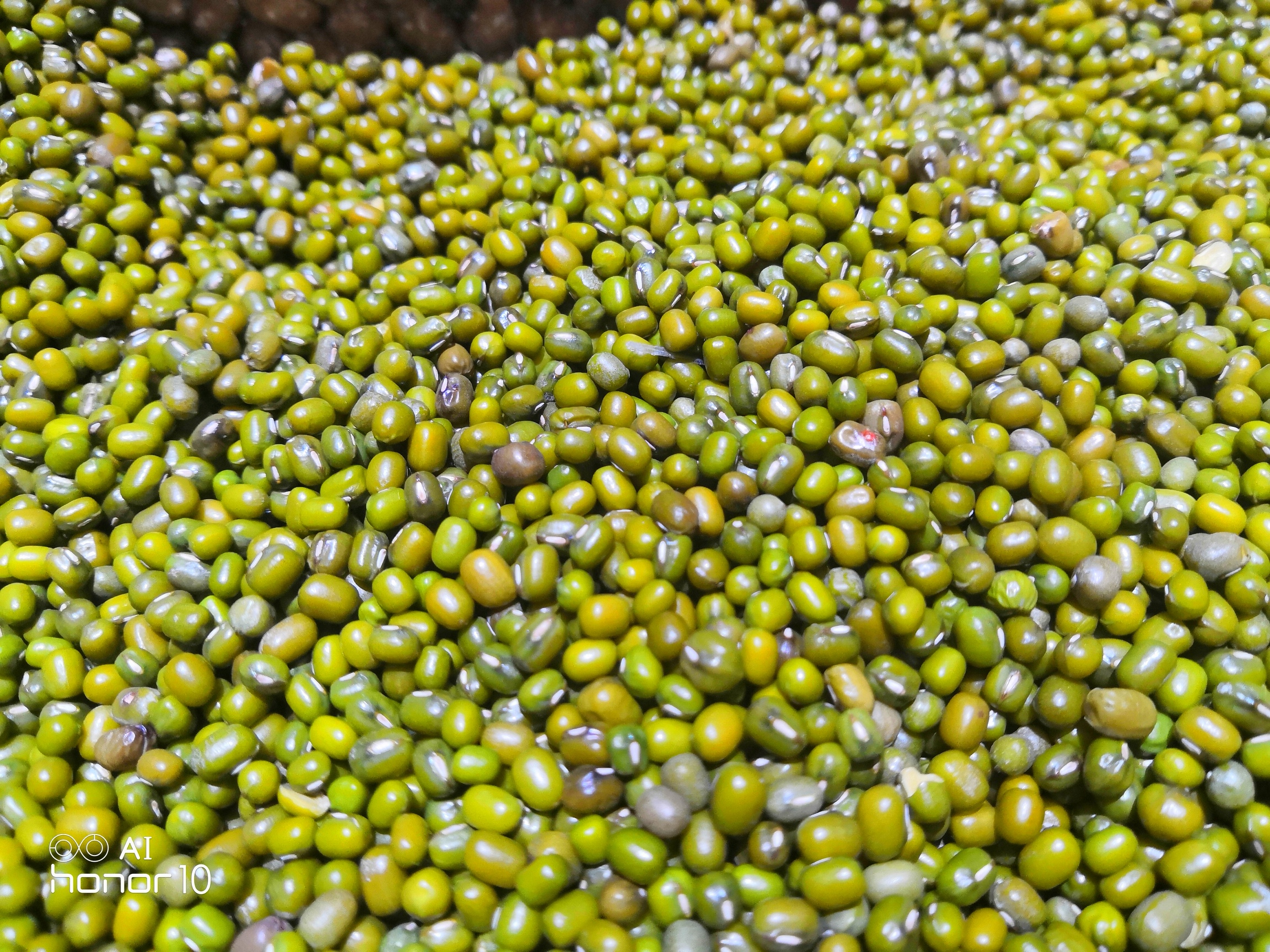 五谷杂粮要怎么吃才有营养,为什么多吃五谷杂粮有利于健康