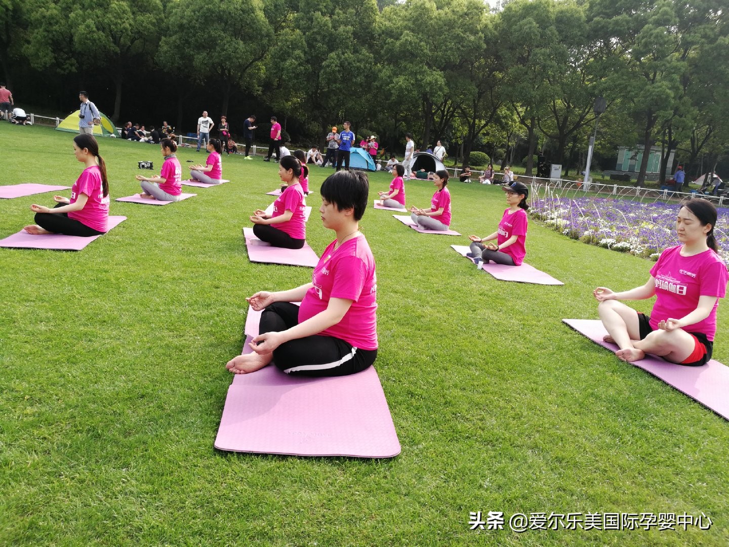 孕动全城母婴,全城募集抽奖活动