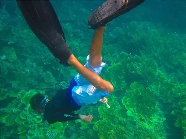 对帕劳之行的感悟,帕劳一场诗和远方的旅行