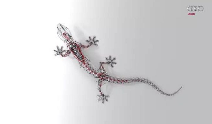 这些年的贴纸,汽车风车贴