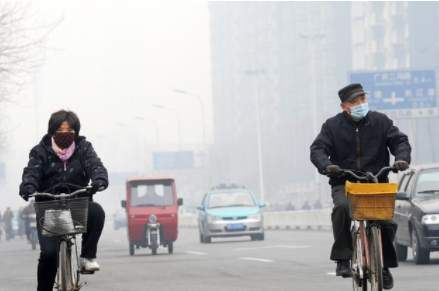 东方快评最新,东方快评现在怎么样了