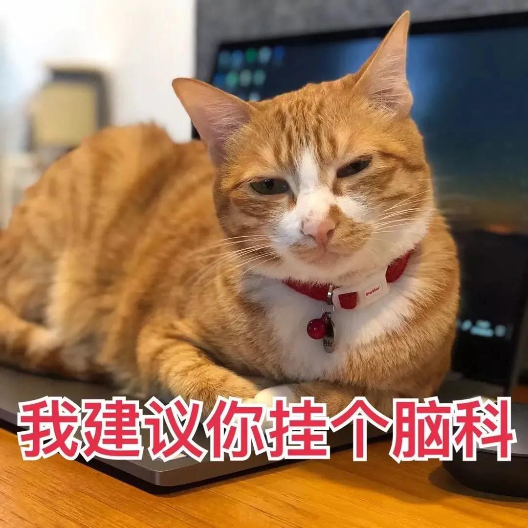 养宠小芝士|怀孕难道不能养猫吗?这里有你想要的答案