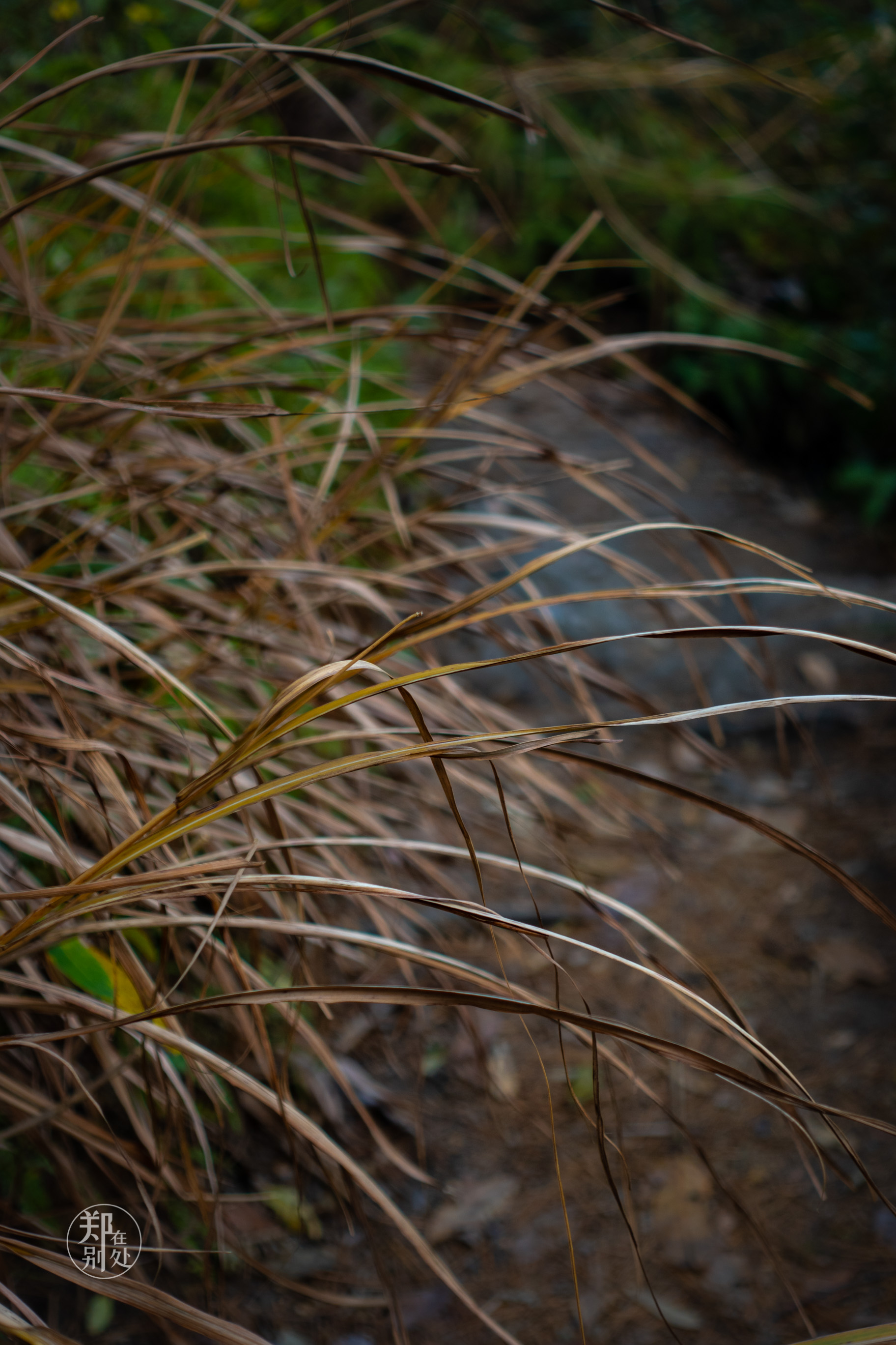 杭州登山徒步经典路线图最新,杭州登山路线