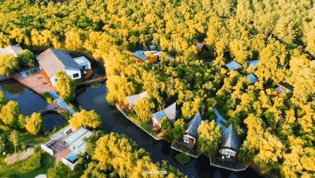 露天温泉小院精品,一房一厅庭院私家温泉