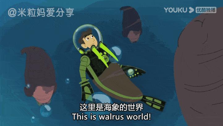 这10部动画一定要给孩子看,看完这8部科普动画